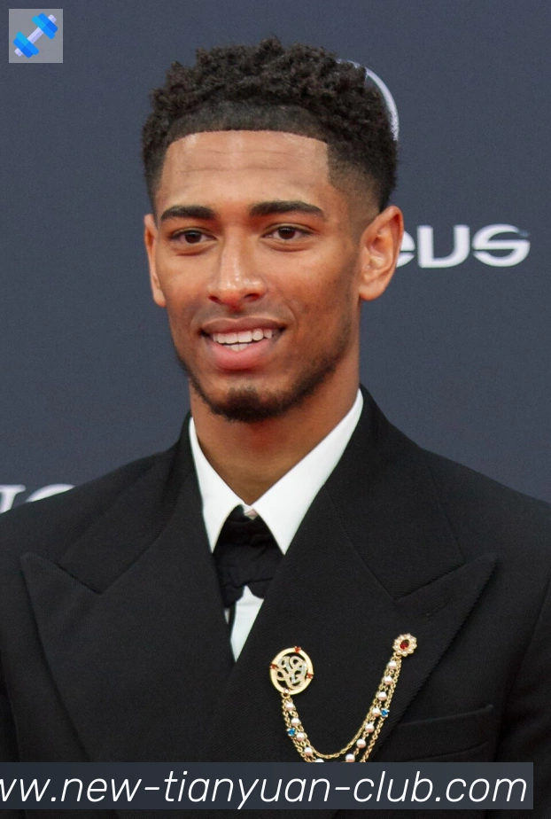 维尼修斯